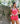 A-Line Babydoll Set - Guava Pink