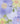 Embroidered G-String - Pastel Floral