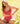 Allure Deep Brief - Raspberry