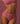 Seamless High-Waisted Retro Bikini - Pink Canyon