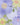 Embroidered G-String - Pastel Floral